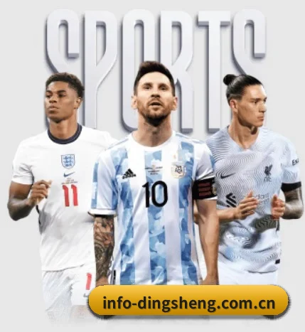 鼎盛平台五大内容板块,覆盖赛事直播与实时比分 - 多运动项目内容板块