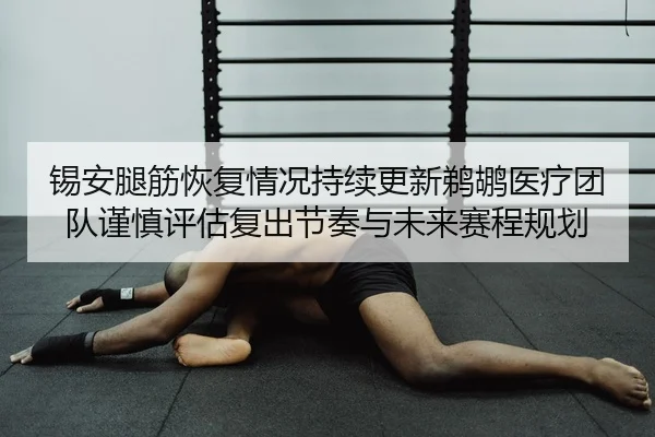 锡安腿筋恢复情况持续更新鹈鹕医疗团队谨慎评估复出节奏与未来赛程规划